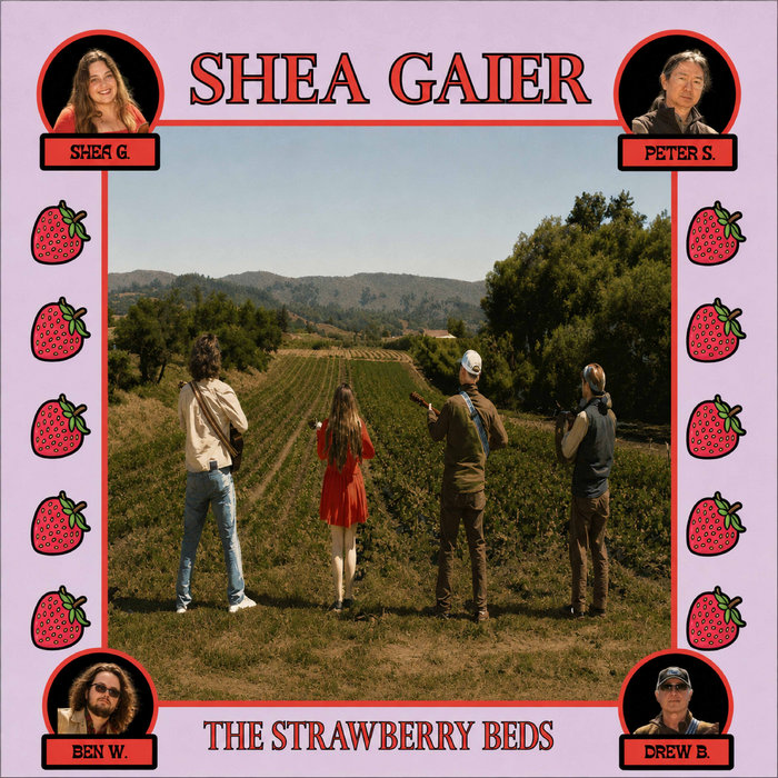 Cover art for The Strawberry Beds by Shea Gaier